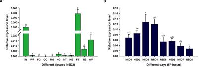 Apolipophorin-II/I Contributes to Cuticular Hydrocarbon Transport and Cuticle Barrier Construction in Locusta migratoria